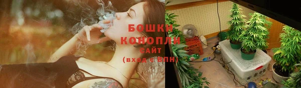 apvp Осташков