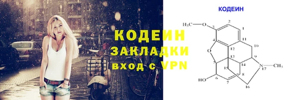 дживик Осинники