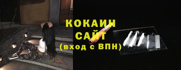 дживик Осинники