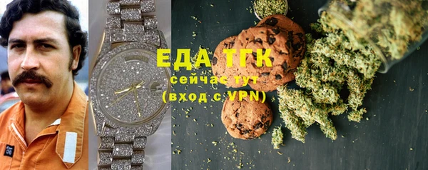 дживик Осинники
