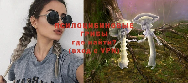 ПСИЛОЦИБИНОВЫЕ ГРИБЫ Остров