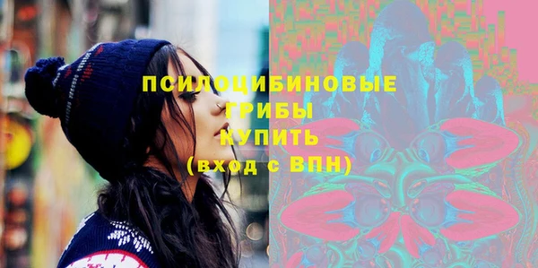 дживик Осинники
