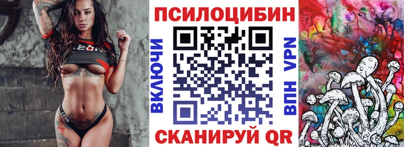 Галлюциногенные грибы Psilocybe Ядрин